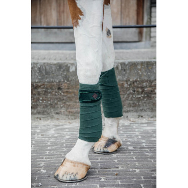 Polo-Bandagen Polar Fleece Velvet Pearls Kentucky Tannengrün