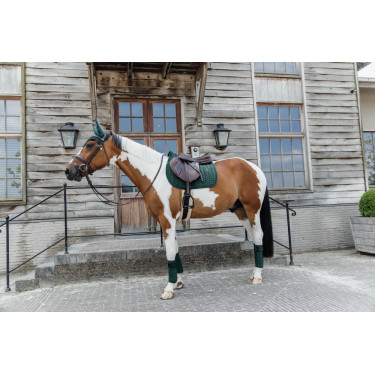 Polo-Bandagen Polar Fleece Velvet Pearls Kentucky Tannengrün Polo-Bandagen Polar Fleece Velvet Pearls Kentucky Tannengrün