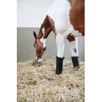 Ruhebandagen Repellent Kentucky Schwarz Ruhebandagen Repellent Kentucky Schwarz