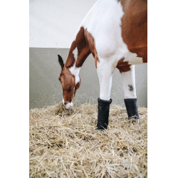 Ruhebandagen Repellent Kentucky Schwarz