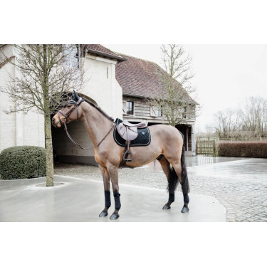 Mütze Wellington Basic Samt Kentucky Mütze Wellington Basic Samt Kentucky