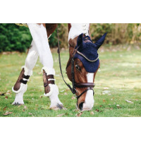 Wellington-Kentucky-Mütze Schwarz Wellington-Kentucky-Mütze Schwarz