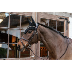 Wellington-Kentucky-Mütze Schwarz