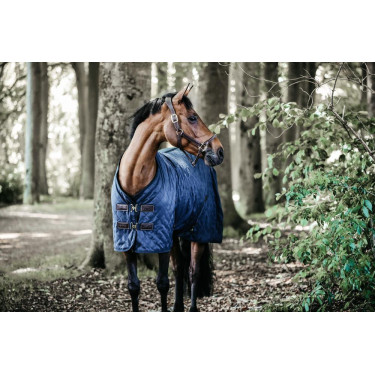Stalldecke Kentucky Stalldecke Kentucky