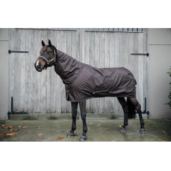 Außenabdeckung All Weather wasserdicht Pro Kentucky Braun