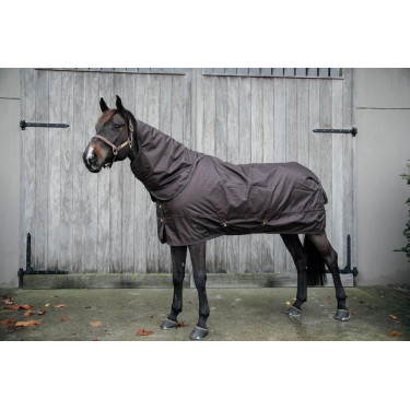 Außenabdeckung All Weather wasserdicht Pro Kentucky Braun