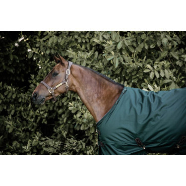 Außenabdeckung All Weather wasserdicht Pro Kentucky Dunkelgrün Grün Außenabdeckung All Weather wasserdicht Pro Kentucky Dunkelgrün Grün