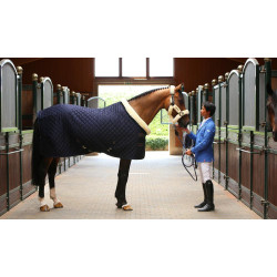 Präsentationsdecke Kentucky Marineblau Präsentationsdecke Kentucky Marineblau