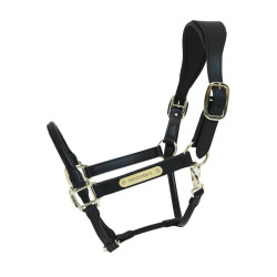 Anatomisches Lederhalfter Kentucky Schwarz