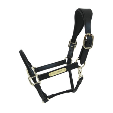 Anatomisches Lederhalfter Kentucky Schwarz