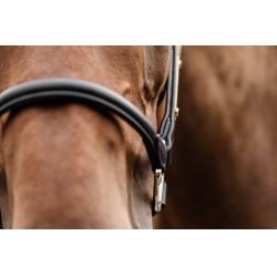 Anatomisches Lederhalfter Kentucky Anatomisches Lederhalfter Kentucky