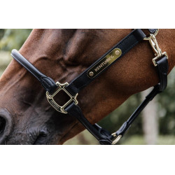 Anatomisches Lederhalfter Kentucky Anatomisches Lederhalfter Kentucky