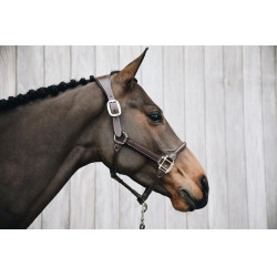 Anatomisches Lederhalfter Kentucky Braun