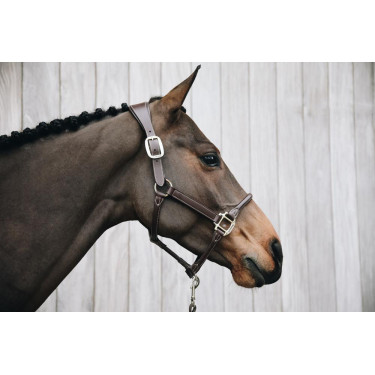 Anatomisches Lederhalfter Kentucky Braun Anatomisches Lederhalfter Kentucky Braun
