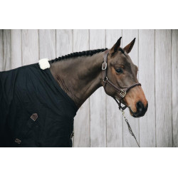 Anatomisches Lederhalfter Kentucky Braun