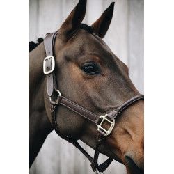 Anatomisches Lederhalfter Kentucky Braun