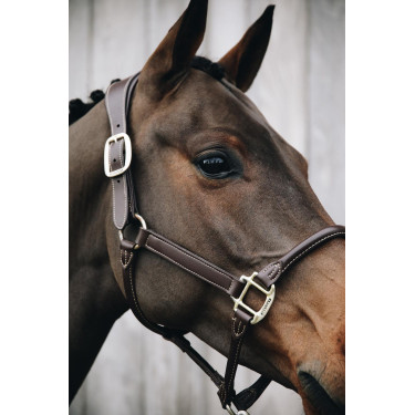 Anatomisches Lederhalfter Kentucky Braun Anatomisches Lederhalfter Kentucky Braun