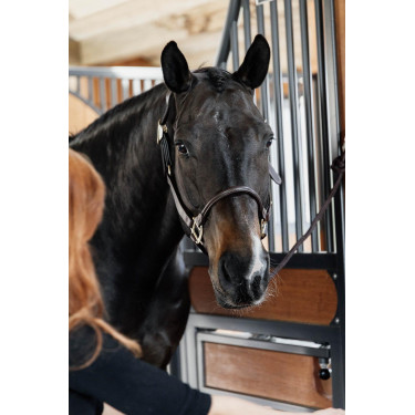 Anatomisches Lederhalfter Kentucky Braun Anatomisches Lederhalfter Kentucky Braun