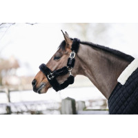 Transporthalfter Schaf Kentucky Schwarz Transporthalfter Schaf Kentucky Schwarz