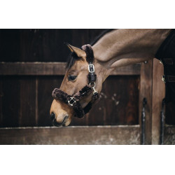 Transporthalfter Schaf Kentucky Transporthalfter Schaf Kentucky