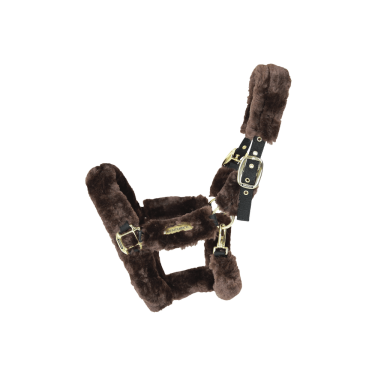 Transporthalfter Schaf Kentucky Transporthalfter Schaf Kentucky