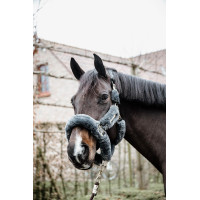 Transporthalfter Schaf Kentucky Grau