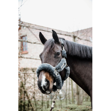 Transporthalfter Schaf Kentucky Grau Transporthalfter Schaf Kentucky Grau