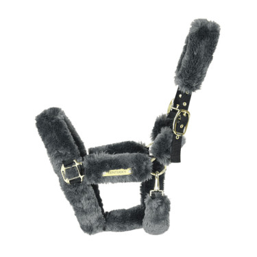 Transporthalfter Schaf Kentucky Grau