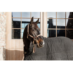 Halfter Geflochtenes Nylon Kentucky Halfter Geflochtenes Nylon Kentucky