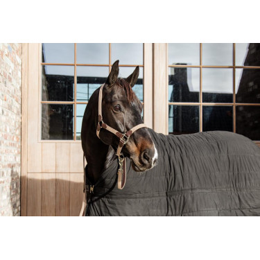 Halfter Geflochtenes Nylon Kentucky Halfter Geflochtenes Nylon Kentucky