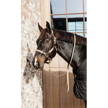 Halfter Geflochtenes Nylon Kentucky Halfter Geflochtenes Nylon Kentucky
