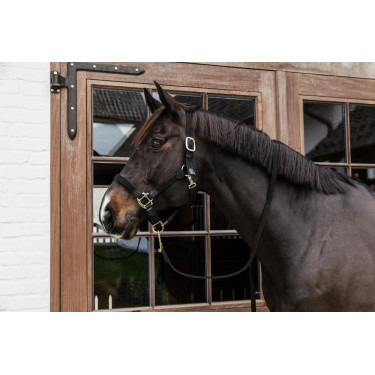 Halfter Geflochtenes Nylon Kentucky Schwarz