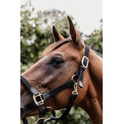Halfter Geflochtenes Nylon Kentucky Schwarz
