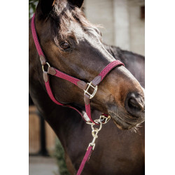 Halfter Geflochtenes Nylon Kentucky
