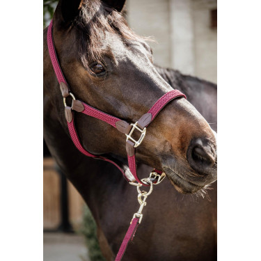 Halfter Geflochtenes Nylon Kentucky Halfter Geflochtenes Nylon Kentucky