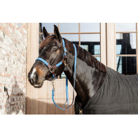 Licol Plaited Nylon Kentucky Beige Licol Plaited Nylon Kentucky Beige