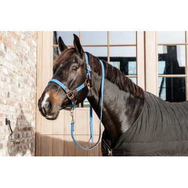 Halfter Geflochtenes Nylon Kentucky Hellblau