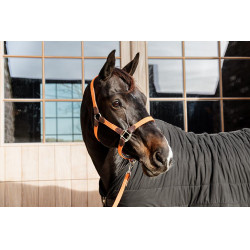 Halfter Geflochtenes Nylon Kentucky Halfter Geflochtenes Nylon Kentucky
