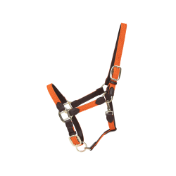 Halfter Geflochtenes Nylon Kentucky Halfter Geflochtenes Nylon Kentucky
