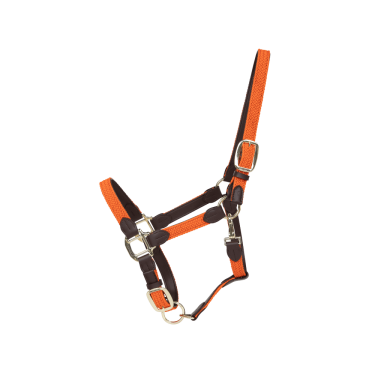 Halfter Geflochtenes Nylon Kentucky Halfter Geflochtenes Nylon Kentucky
