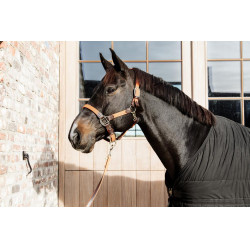 Halfter Geflochtenes Nylon Kentucky Halfter Geflochtenes Nylon Kentucky
