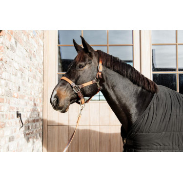 Halfter Geflochtenes Nylon Kentucky Halfter Geflochtenes Nylon Kentucky