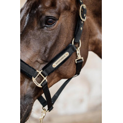 Halfter Velvet Kentucky Halfter Velvet Kentucky