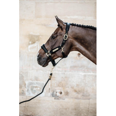 Halfter Velvet Kentucky Halfter Velvet Kentucky