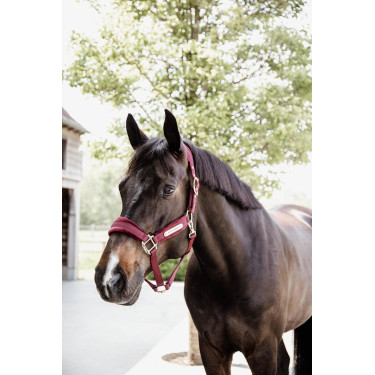 Halfter Velvet Kentucky Halfter Velvet Kentucky