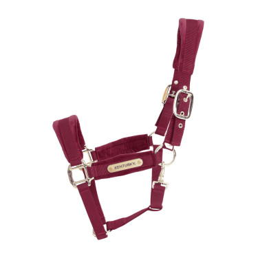 Licol Velvet Kentucky Bordeaux
