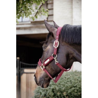 Halfter Velvet Kentucky Halfter Velvet Kentucky