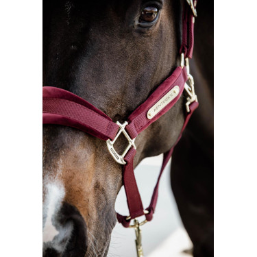 Halfter Velvet Kentucky Halfter Velvet Kentucky