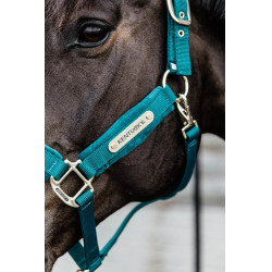 Halfter Velvet Kentucky Smaragd Grün Halfter Velvet Kentucky Smaragd Grün