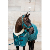Halfter Velvet Kentucky Schwarz Halfter Velvet Kentucky Schwarz